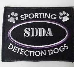 SDDA Patch