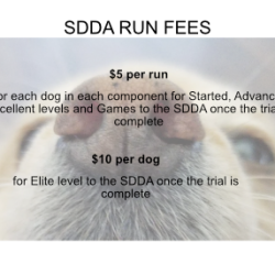 SDDA Trial Run Fees